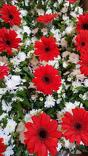 办一场婚礼要花多少钱 一场婚礼下来得需要多少钱 就详细解答