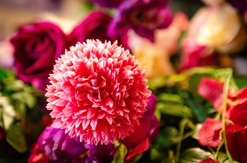 婚庆的海报怎么写 结婚海报写什么好