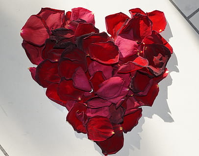 婚庆大厦有什么位置 北京西单婚庆大楼