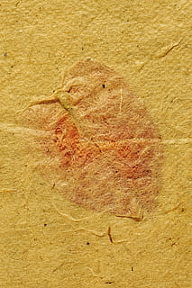 中国结婚法定年龄最低多少 中国的法定结婚年龄是多少