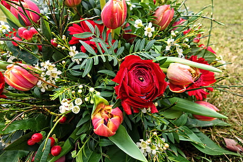 怎么买戒指求婚 求婚戒指买几个？怎么买？