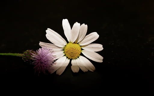 长沙办一场婚礼多少钱 长沙酒店办婚礼多少钱