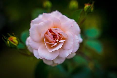 北京山西大厦吃饭怎么样