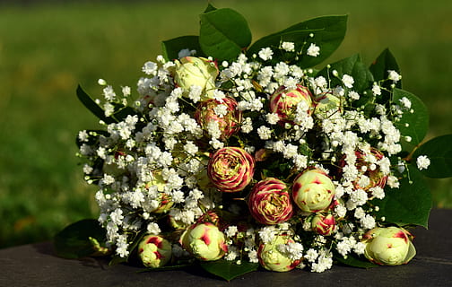 脸胖的适合什么新娘妆 胖脸适合什么样的新娘妆