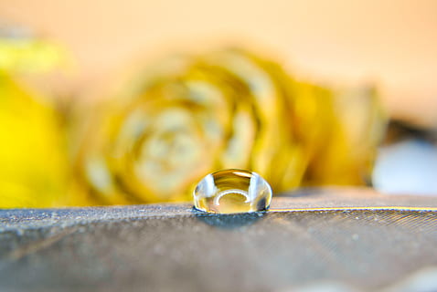 女方回门宴请帖怎么写 怎么写回门宴的请帖?