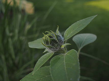 什么时候双方父母见面 父母何时见面合适,男女双方父母第一次见面