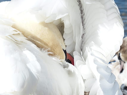 婚礼红包怎么写多少钱 婚礼红包怎么写