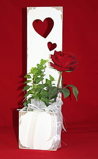 领证需要带什么 领结婚证要带什么证件