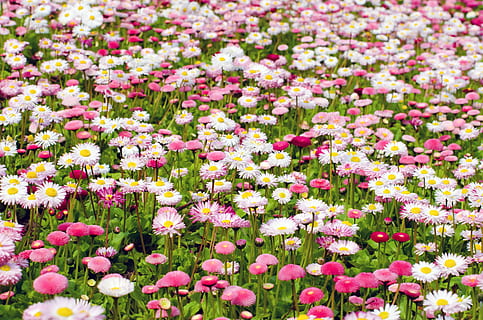 双方父母什么时候见面 男女朋友双方父母何时见面