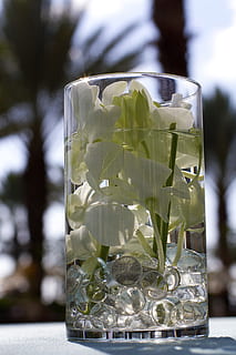 画新娘妆用什么看起来比较保湿 怎样画新娘妆最漂亮 淡妆化妆步骤