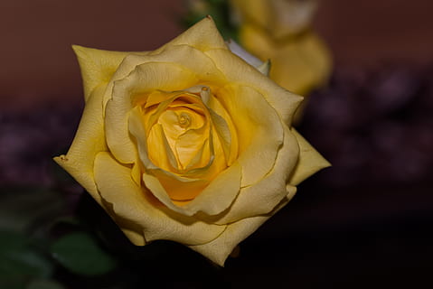 婚礼场地有柱子怎么办 婚礼场地 为何不能有柱子？