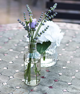 结婚新郎要准备什么 婚礼新郎家需要准备什么东西?