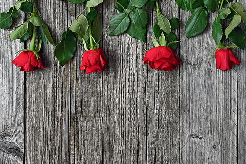 订婚戒指买多少钱的合适 订婚戒指一般要多少钱?