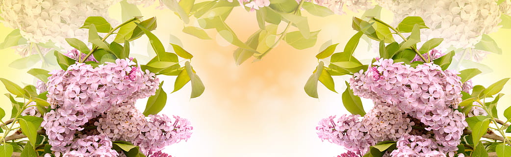 婚礼新郎穿什么西服 新郎结婚要穿什么颜色的西服？黑色？