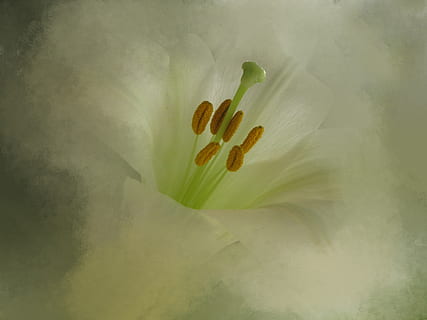 伴娘负责什么 伴娘主要干什么？