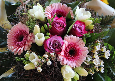 有什么适合结婚的歌曲2015新年 合适结婚的歌曲2015新年