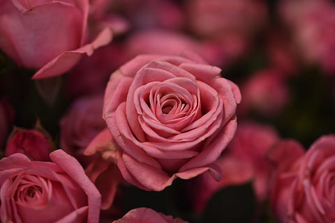 怎么选司仪 选择司仪要注意什么？