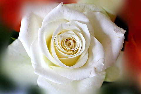 那家小馆婚宴多少钱 婚宴一般要多少钱?