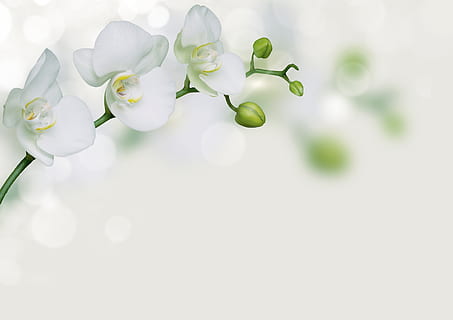 为什么结婚要给红包 参加婚礼为什么要给红包好处和坏处？