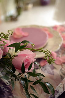 喜糖盒子怎么折 喜糖盒子怎么折