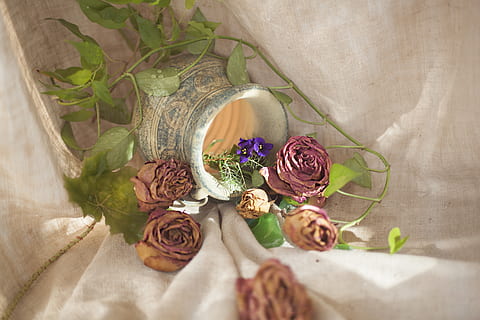 活动婚礼策划是做什么 做婚礼策划主要做什么?