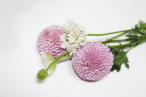 婚礼策划要注重什么 婚礼策划应该注意些什么，应该避讳些什么？