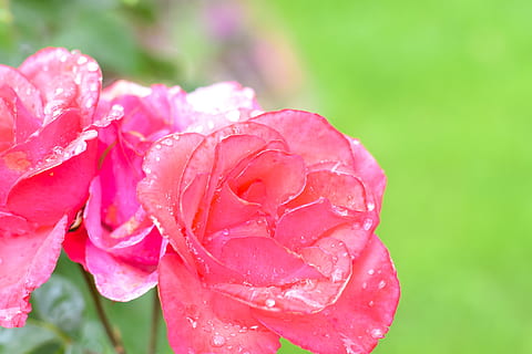 伴娘穿什么鞋子 伴娘应该穿什么衣服鞋子