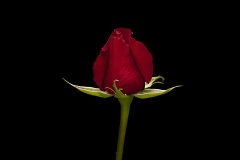 婚庆公司能办什么活动 婚庆公司能举办什么活动来吸引顾客