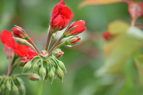 结婚的回礼送什么好 结婚回礼送什么小礼物合适？
