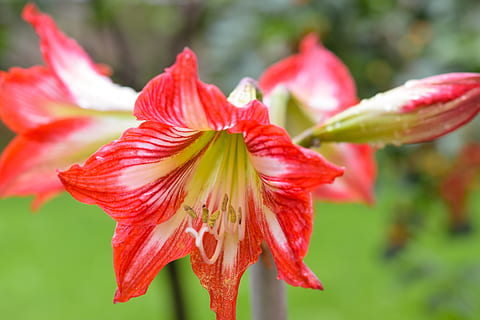 结婚红包上怎么 婚礼红包怎么写