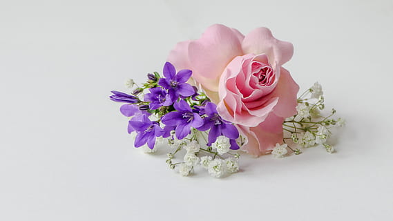 布置婚房需要什么