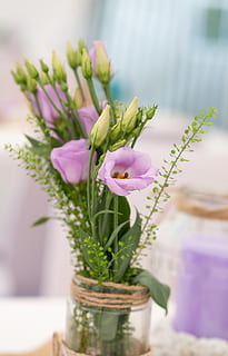 婚礼上唱什么歌赢取新娘 婚礼上新郎唱什么歌曲迎娶新娘