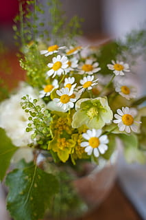 结婚怎么通知朋友 结婚怎么通知朋友合适啊