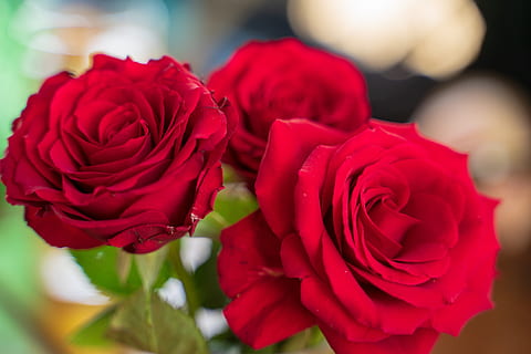 怎么祝朋友新婚快乐 祝福朋友新婚快乐说点什么呢？