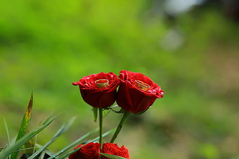 结婚怎么样整新郎 结婚如何整新郎 结婚整蛊新郎妙招