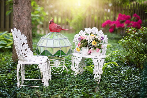 新娘请柬怎么写 新娘给单位同事发请柬怎么写规范？