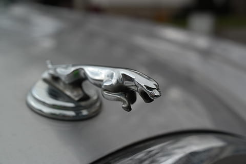 中式婚礼费用是多少钱 想办一场中式婚礼,大概费用是多少