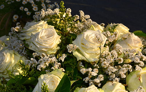 人们为什么要办婚礼 为什么结婚要办婚礼