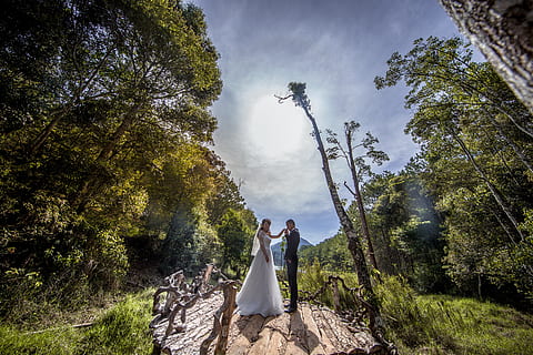 工作日结婚怎么办 所选结婚吉日是工作日怎么办