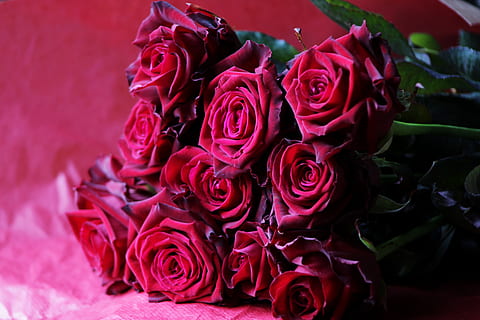 送新娘的人有什么讲究 送亲的人有什么讲究一般几个人