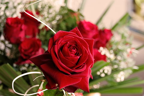 答谢宴请柬怎么写图片 新婚答谢宴请柬怎样写