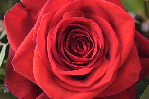 结婚要大概要花多少钱 现在结婚一般需要多少钱？