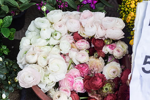 结婚穿衣服有什么讲究 结婚接新娘穿衣服讲究