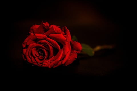 结婚穿的西装颜色有什么要求 结婚穿什么颜色西装合适?