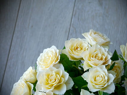 婚礼摄像怎么提价 婚礼摄像跟拍价位大概在多少