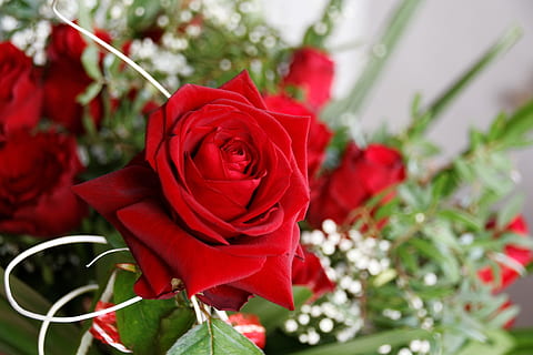 和婚庆公司确定什么 跟婚庆公司谈什么