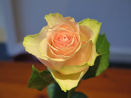 竖版请柬封面怎么写 竖版请柬封面怎么写