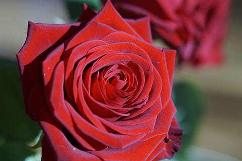 冬天参加婚礼穿什么衣服好 冬天去参加婚礼适合穿什么衣服?