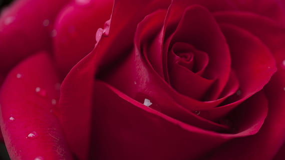 电子结婚请柬怎么写 电子请柬怎么写