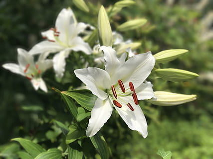 网友请贴怎么写 微信请帖怎么写